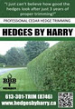 Hedges by Harry logo