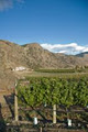 Herder Winery & Vineyards Inc. image 5