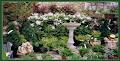 Holland Valley Nursery - Gardenland image 5