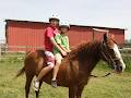 Horseplay Niagara Trail Riding image 3