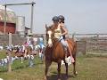 Horseplay Niagara Trail Riding image 4