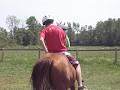 Horseplay Niagara Trail Riding logo