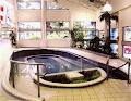Ideal Pool & Patio Supply Ltd image 6