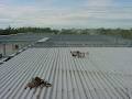 Ideal Roofing Ltd image 2