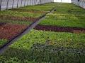 JRT Farms & Nursery Inc image 4