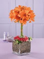 Joe Flowers & Gifts Ltd image 2