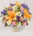 Joe Flowers & Gifts Ltd image 6