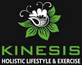 Kinesis image 2