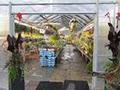 Kleinburg Nursery - Garden Centre image 3