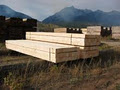 Kodiak Forest Products Ltd. image 2