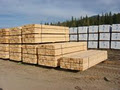 Kodiak Forest Products Ltd. image 1