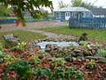 Lake Ridge Farm Koi Nursery and Water Gardens logo