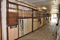 Laye D Luck Stables Inc. image 5