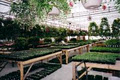 Leslie Gardens Nursery And Greenhouse image 3