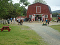 Lester Farms Inc image 3