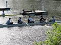 London Rowing Club image 3
