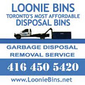 Loonie Bins image 2