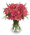Loyalist Floral Designs image 3