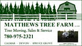 MATTHEWS TREE FARM image 2