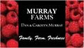 MURRAY FARMS image 3