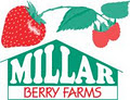 Millar Berry Farms image 4