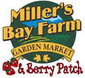 Miller's Bay Farm image 2