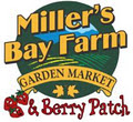 Miller's Bay Farm image 2