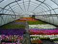 Mocon Greenhouses image 1