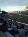 Molson Stadium logo