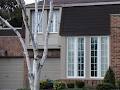 Moncada Windows Doors & Siding image 5