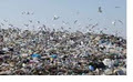 Mr Junk Waste Disposal image 4
