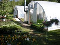 Neily's Greenhouse and Gardens image 2
