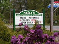 Neily's Greenhouse and Gardens logo