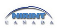 Nirint Canada logo