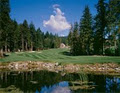 Northlands Golf Course Official Site logo