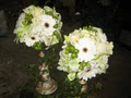 Oceana Florists Ltd image 4