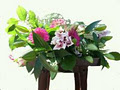Okanagan Flowers & Gifts image 3