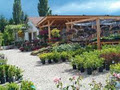 Okanagan Garden Centre - Petals and Leaves logo