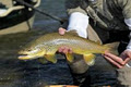 Out Fly Fishing outfitters Ltd. image 3