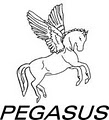 Pegasus Paper Ltd. image 1