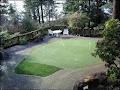 Perfect Turf image 6