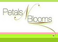 Petals N Blooms logo