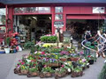 Plantation Garden Centre image 3