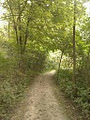 Point Pelee National Park image 1