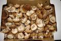 Ponderosa Mushrooms & Specialty Foods image 2