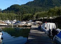 Port Renfrew Marina & RV Park image 2