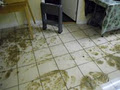 PuroClean Property Damage Services image 5