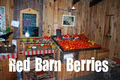 Red Barn Berries logo