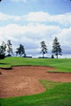Red Sands Golf Course image 5