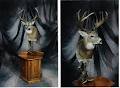 Scott Holman Taxidermy image 3